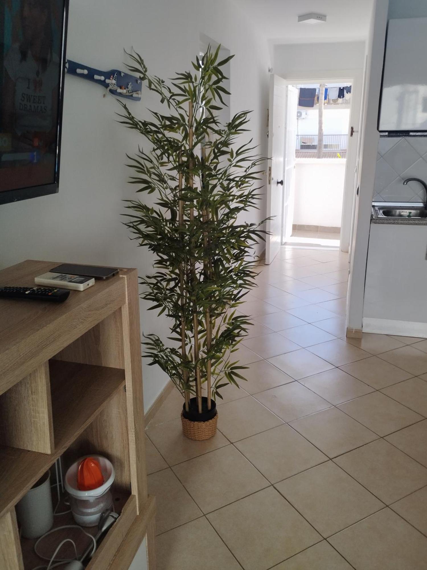 Apartamento Mi Rinconcito